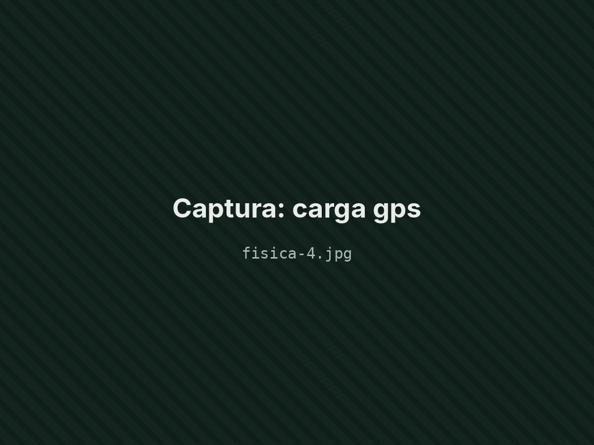 Carga GPS