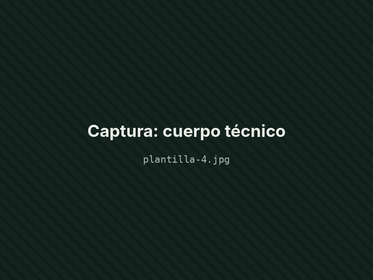 Cuerpo técnico