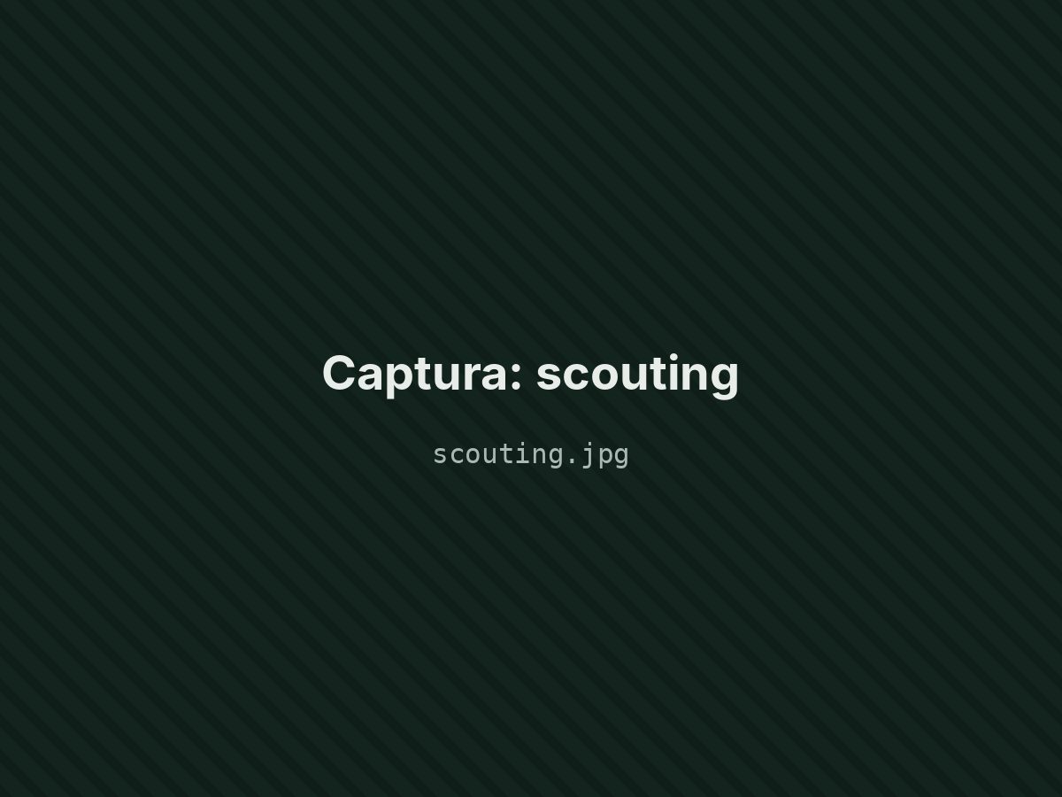 Scouting